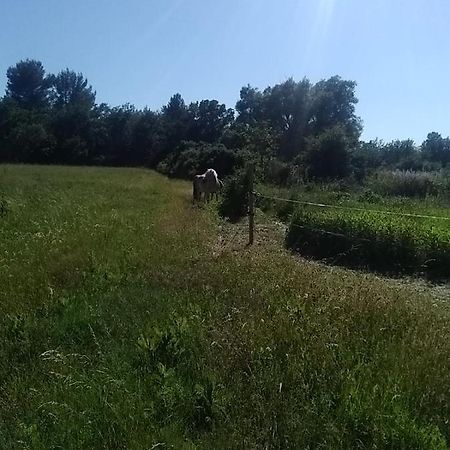 Maison Individuelle 5 Couchages Dans Ferme Equestre Aups Luaran gambar